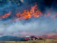 Um incêndio florestal de rápido crescimento no ventoso sul da Califórnia provoca evacuações Yahoo news home