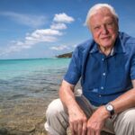 Uma retrospectiva da incrível carreira de David Attenborough