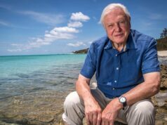 Uma retrospectiva da incrível carreira de David Attenborough Uma retrospectiva da incrível carreira de David Attenborough