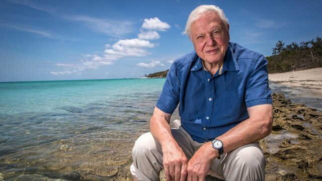 Uma retrospectiva da incrível carreira de David Attenborough
