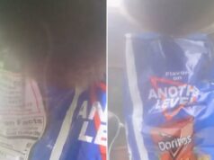 Urso sorrateiro rouba saco de Doritos deixado do lado de fora da casa do CT, mostra vídeo Urso sorrateiro rouba saco de Doritos deixado do lado de fora da casa do CT, mostra vídeo