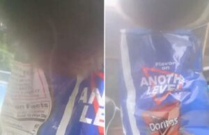 Urso sorrateiro rouba saco de Doritos deixado do lado de fora da casa do CT, mostra vídeo Urso sorrateiro rouba saco de Doritos deixado do lado de fora da casa do CT, mostra vídeo