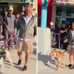 Volunteer adopts two dogs