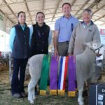 Vencedor da pesquisa Dorset Ram na Gateway Expo anual, um 'vencedor merecedor'