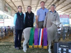 Vencedor da pesquisa Dorset Ram na Gateway Expo anual, um ‘vencedor merecedor’ Vencedor da pesquisa Dorset Ram na Gateway Expo anual, um 'vencedor merecedor'