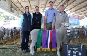 Vencedor da pesquisa Dorset Ram na Gateway Expo anual, um ‘vencedor merecedor’ Vencedor da pesquisa Dorset Ram na Gateway Expo anual, um 'vencedor merecedor'