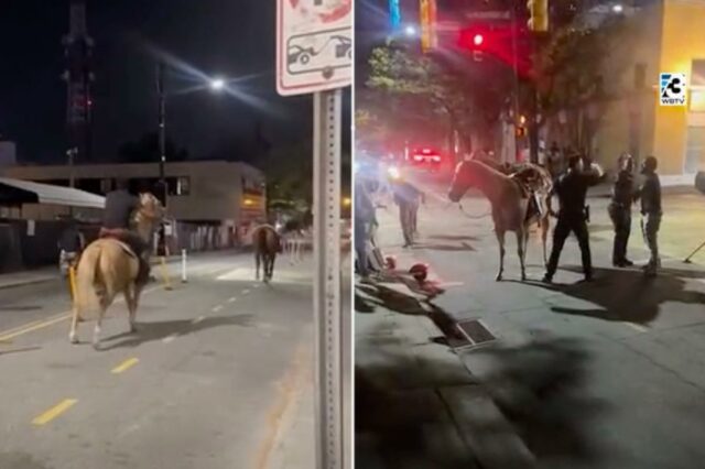 O cavaleiro derrubado e um companheiro montado perseguem o cavalo solto em Charlotte em 3 de abril de 2026 (vídeo de Ja'Queria Lynch/WBTV)