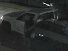 Vigilantes atacam seu próprio veículo roubado com tacos de beisebol Homem de Queensland bate em seu próprio carro com taco de beisebol depois que ele foi roubado