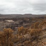 Voluntários ainda pressionam por justiça após incêndio no parque nacional
