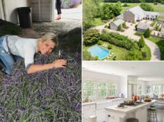 Yolanda Hadid lista novamente uma fazenda familiar de US$ 10,88 milhões na Pensilvânia – depois que uma venda anterior fracassou Yolanda Hadid lista novamente uma fazenda familiar de US$ 10,88 milhões na Pensilvânia – depois que uma venda anterior fracassou