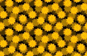 gold bitcoin logos featured on spiky-shaped coins on a darkened black background