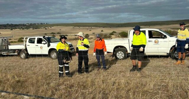 ‘Devastação total’: como os voluntários estão reconstruindo fazendas afetadas pelo fogo
