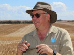 ‘Proporções absolutas de peste’ à medida que o número de ratos pré-semeadura aumenta ameaçadoramente ‘Proporções absolutas de peste’ à medida que o número de ratos pré-semeadura aumenta ameaçadoramente