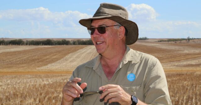 ‘Proporções absolutas de peste’ à medida que o número de ratos pré-semeadura aumenta ameaçadoramente
