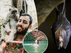 10 erros de viagem que podem transformá-lo no ‘paciente zero’ 10 erros de viagem que podem transformá-lo no ‘paciente zero’
