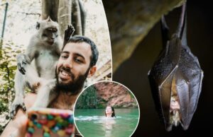 10 erros de viagem que podem transformá-lo no ‘paciente zero’ 10 erros de viagem que podem transformá-lo no ‘paciente zero’