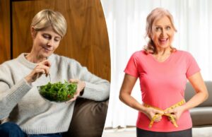 2 dietas encontradas para prevenir o ganho de peso na menopausa – e você não precisa abrir mão dos carboidratos 2 dietas encontradas para prevenir o ganho de peso na menopausa – e você não precisa abrir mão dos carboidratos