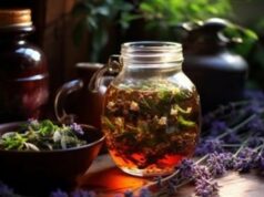 5 Keistimewaan Herbal Khas Indonesia e Makin Populer para Gaya Hidup Sehat 5 Keistimewaan Herbal Khas Indonesia e Makin Populer para Gaya Hidup Sehat