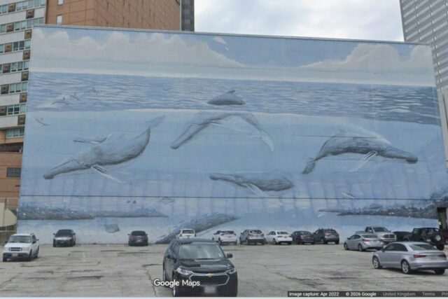 Wyland'S Dallas mural.