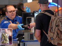 A TSA silenciosamente começa a permitir que os passageiros tragam maconha nos aviões – com um grande problema Um agente da TSA com uniforme azul e luvas devolve um passaporte a um viajante com uma mochila.