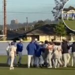 Jogadores e treinadores de beisebol brigam em campo.