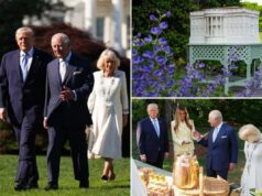 A colmeia e o mel de Melania Trump na Casa Branca dão um toque doce durante a visita histórica do rei Carlos III aos Estados Unidos Notícias da raposa