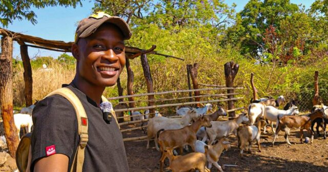 A diáspora do Zimbabué remodela as tendências de investimento imobiliário Kundai Chitima trabalhou como professor na África do Sul antes de retornar ao Zimbábue em 2015 (Al Jazeera)