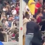 Pessoas brigando nas arquibancadas do estádio.
