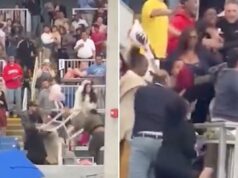 A formatura da faculdade comunitária de Connecticut fica fora de controle depois que duas famílias entram em uma briga violenta Pessoas brigando nas arquibancadas do estádio.