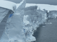 A geleira do ‘Juízo Final’ está à beira do colapso e os cientistas estão preocupados A geleira Thwaites, na Antártica, é conhecida como a