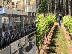 A guerra civil de Napa Valley eclode depois que uma vinícola em dificuldades lança um plano ambicioso para salvar os vinhedos A guerra civil de Napa Valley eclode depois que uma vinícola em dificuldades lança um plano ambicioso para salvar os vinhedos