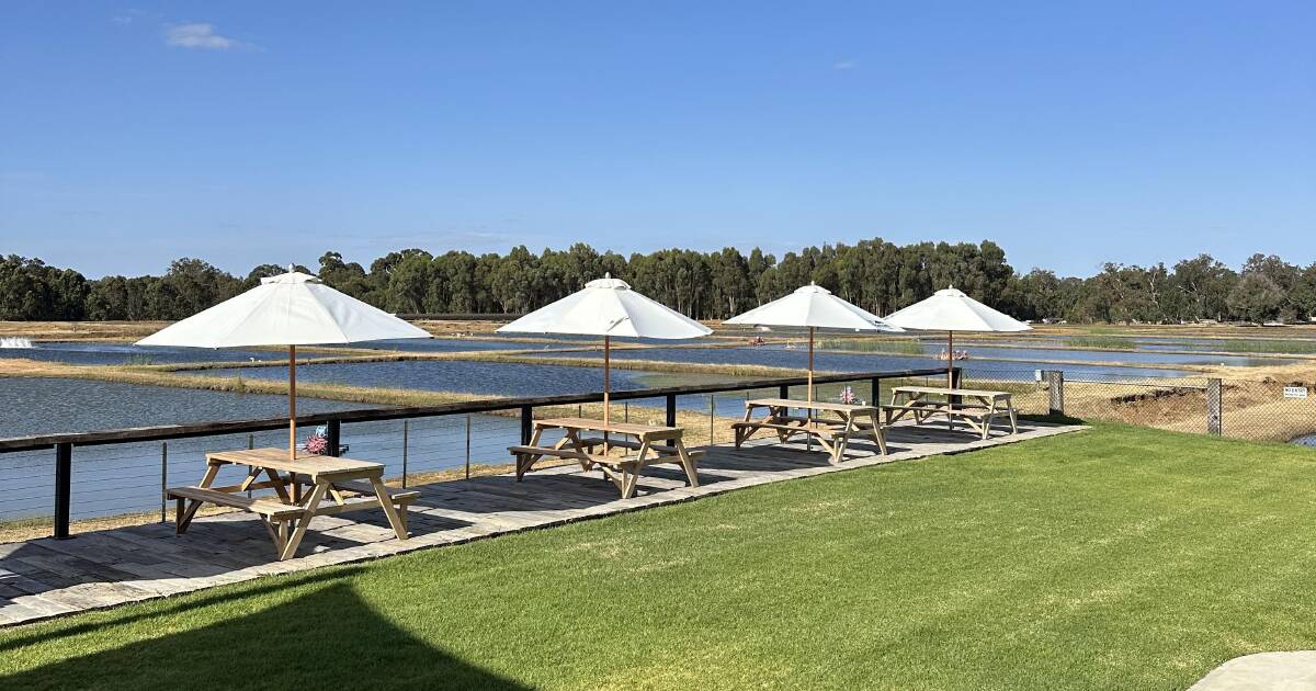 A iguaria do South West Marron deixa uma marca nos chefs e consumidores estrangeiros