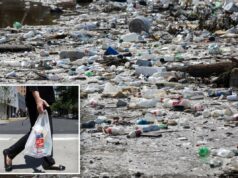A lei climática da Califórnia sai pela culatra dramaticamente quando uma enorme lacuna é descoberta A lei climática da Califórnia sai pela culatra dramaticamente quando uma enorme lacuna é descoberta