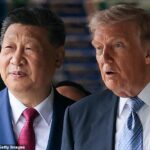 Enquanto Xi explicava como algumas das árvores se fundiram, Trump interrompeu o passeio com uma pergunta contundente