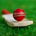 Abu Dhabi T10 começará de 7 a 20 de novembro no Zayed Cricket Stadium