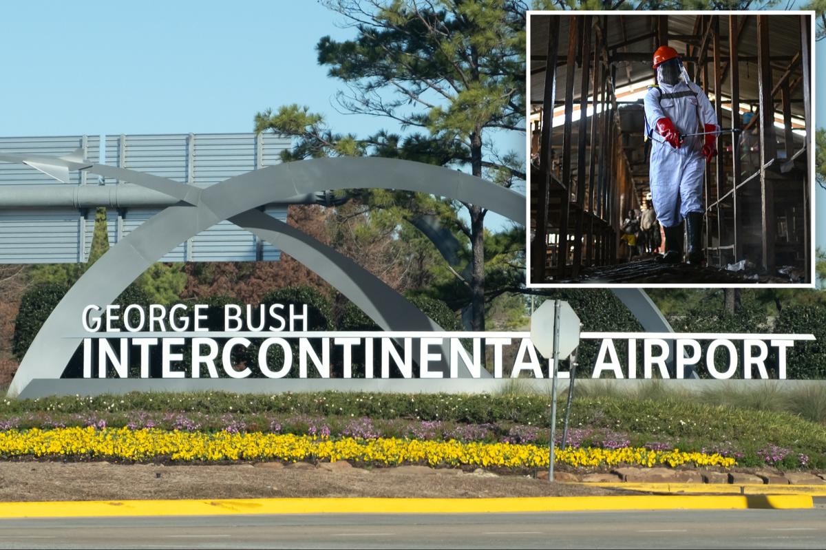 O Aeroporto Bush de Houston é agora um dos três aeroportos autorizados a rastrear passageiros que entram nos Estados Unidos vindos de alguns países africanos, à medida que o surto de Ébola continua a espalhar-se.