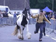 Aldeões fecham estradas e fecham as escotilhas enquanto centenas de viajantes chegam para a tradicional feira de cavalos de 750 anos Centenas de viajantes chegaram a uma vila geralmente pacata de Hampshire para a Feira Anual de Cavalos de Wickham (um menino é fotografado correndo por uma rua fechada com um pônei)
