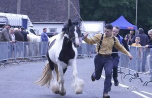 Aldeões fecham estradas e fecham as escotilhas enquanto centenas de viajantes chegam para a tradicional feira de cavalos de 750 anos Centenas de viajantes chegaram a uma vila geralmente pacata de Hampshire para a Feira Anual de Cavalos de Wickham (um menino é fotografado correndo por uma rua fechada com um pônei)
