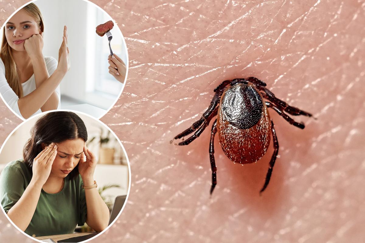 Alergias à carne, confusão, vômitos – 5 doenças que você pode pegar por carrapatos quando as visitas ao pronto-socorro aumentam