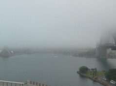 Alerta de atrasos de voos no aeroporto de Sydney enquanto neblina espessa cobre a cidade A Sydney Harbour Bridge envolta em neblina esta manhã.