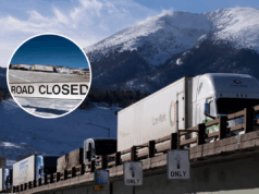 Alerta de neve forte – 14 polegadas para atingir Colorado, Wyoming: ‘Linhas de energia derrubadas’ Alerta de neve forte - 14 polegadas para atingir Colorado, Wyoming: 'Linhas de energia derrubadas'