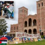 Alunos vis e anti-semitas da UCLA formaram uma zona de exclusão judaica, espancaram-nos até deixá-los inconscientes e atacaram-nos com paus: processo