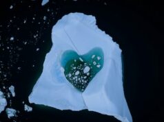 Ama icebergs? Este em St. Anthony, NL, pode capturar seu coração Ícone de conversão de texto em fala