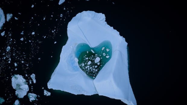 Ama icebergs? Este em St. Anthony, NL, pode capturar seu Ícone de conversão de texto em fala