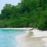 Andaman estabelece dois recordes mundiais do Guinness em dois dias; aqui está tudo que você precisa saber