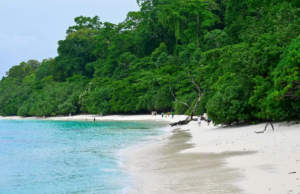Andaman estabelece dois recordes mundiais do Guinness em dois dias; aqui está tudo que você precisa saber Andaman estabelece dois recordes mundiais do Guinness em dois dias; aqui está tudo que você precisa saber