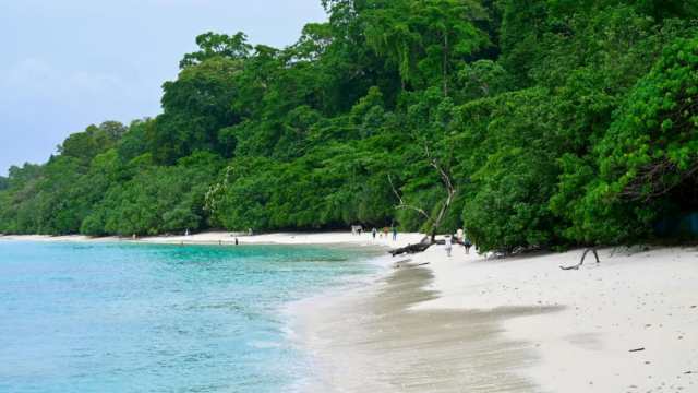 Andaman tentará dois recordes mundiais do Guinness; aqui está tudo que você precisa saber
