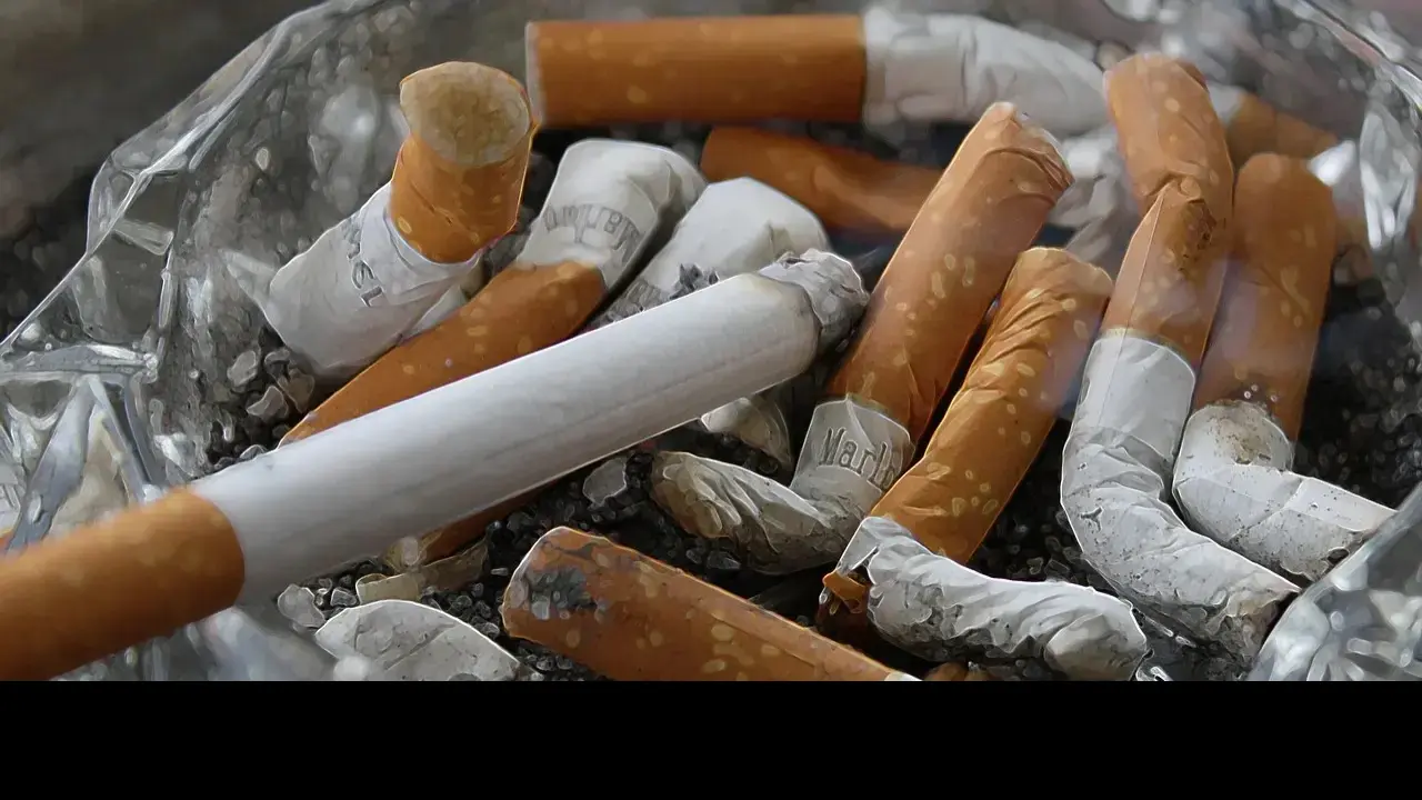 As crianças têm 9 vezes mais probabilidade do que os adultos de se sentirem atraídas por produtos de tabaco