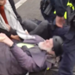 Um manifestante idoso foi derrubado enquanto as tensões aumentavam em um comício de financiamento para deficientes em Melbourne.