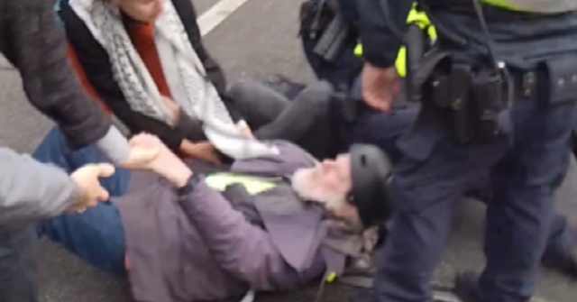 Um manifestante idoso foi derrubado enquanto as tensões aumentavam em um comício de financiamento para deficientes em Melbourne.